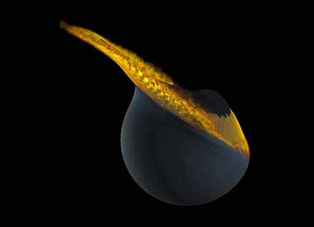 H στιγμή της σύγκρουσης. Οι επιστήμονες πιστεύουν ότι η Σελήνη απορρόφησε την περισσότερη ύλη από την αδερφή της, μετά την μεταξύ τους σύγκρουση.