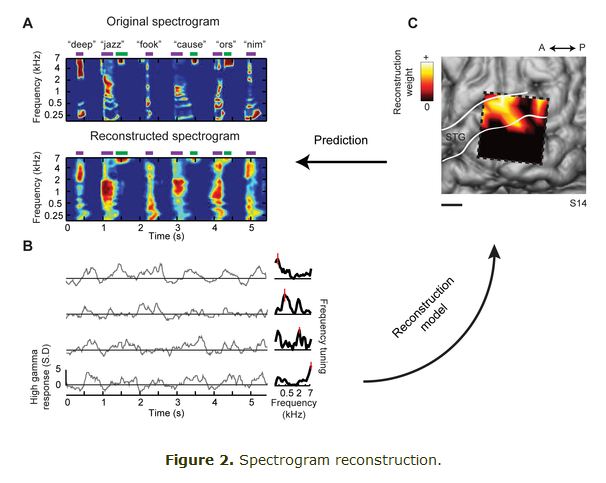 journal.pbio.1001251.g002