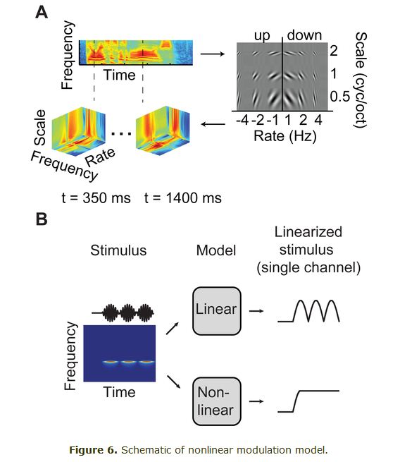 journal.pbio.1001251.g006