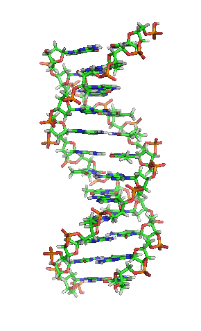 DNA_orbit_animated