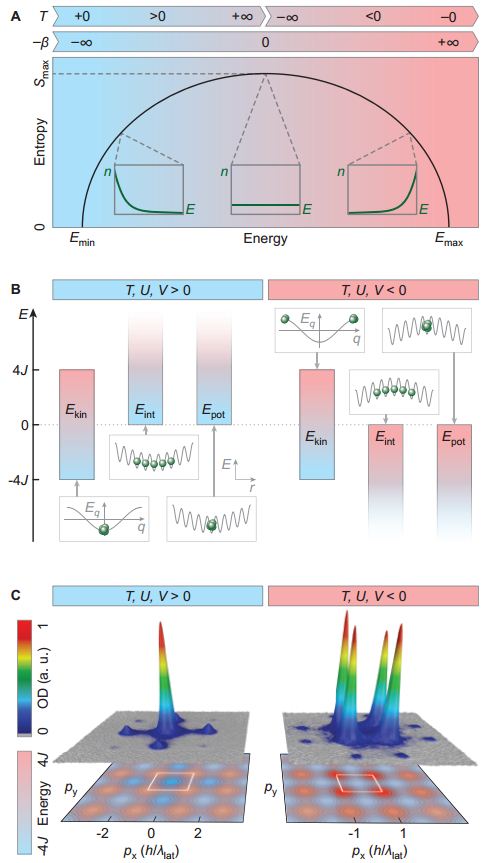 (Α) Διάγραμμα της εντροπίας ως συνάρτηση της ενέργειας σε μια κανονική συλλογή. Τίθεται άνω (Εmin) και κάτω όριο (Εmax) στην ενέργεια. (Β) Ενεργειακά όρια για τους τρεις όρους της δισδιάστατης Χαμιλτονιανής Bose-Hubbard: κινητική ενέργεια (Εkin), ενέργεια αλληλεπίδρασης (Eint) και δυναμική ενέργεια (Εpot) (C) Οι κατανομές ορμής που μετρήθηκαν για θετικές (αριστερά) και αρνητικές (δεξιά) θερμοκρασίες.