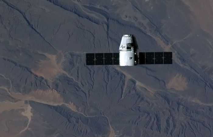 dragon00