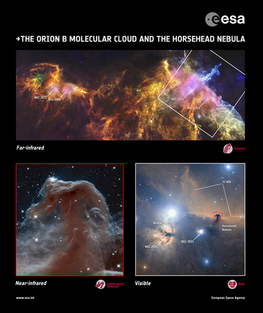Zooming_in_on_the_Horsehead_node_full_image