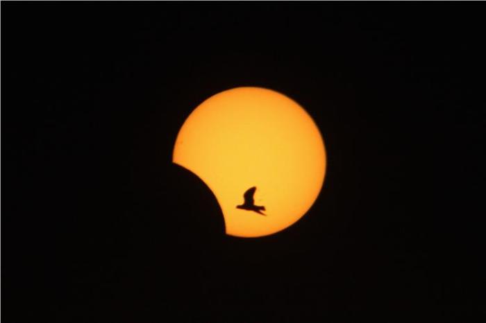  Λίβανος (REUTERS/Abdel-Halim Shahaby)