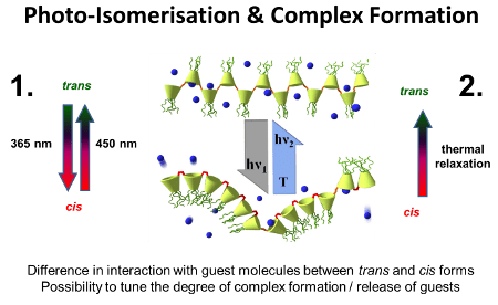 Το πολυμερές Poly(azocalix[4]arene)s, που δημιούργησαν οι Wiktorowicz et al