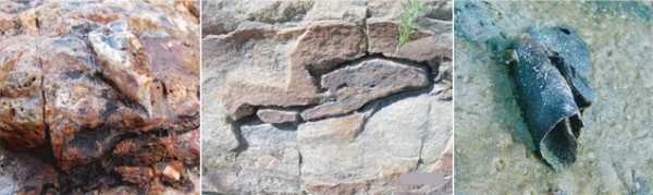 Μικροβιακές ιζηματογενείς σχηματισμοί σε πετρώματα ηλικίας 3,48 δισεκατομμυρίων ετών