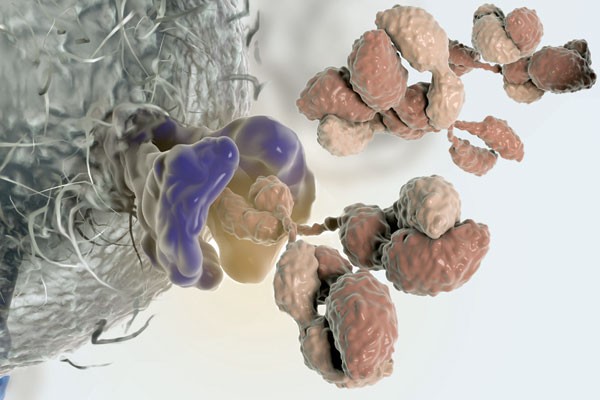 V. Altounian/Science