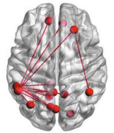 H ανάγνωση μυθιστορημάτων βελτιώνει τις εγκεφαλικές συνδέσεις 