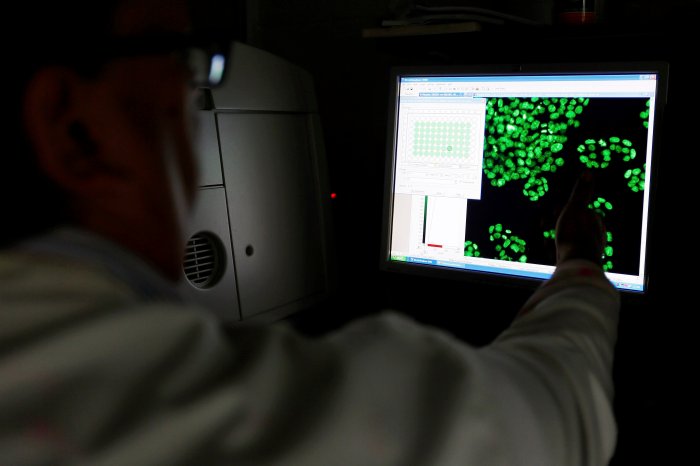 Scientist Clarke looks at a picture of labelled cells on a monitor at the Institute of Cancer Research in Sutton