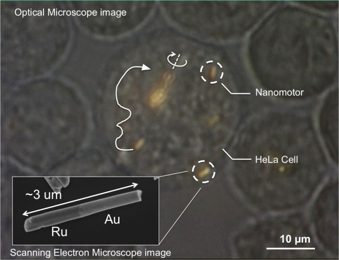 Mallouk_microscope-image_2-2014