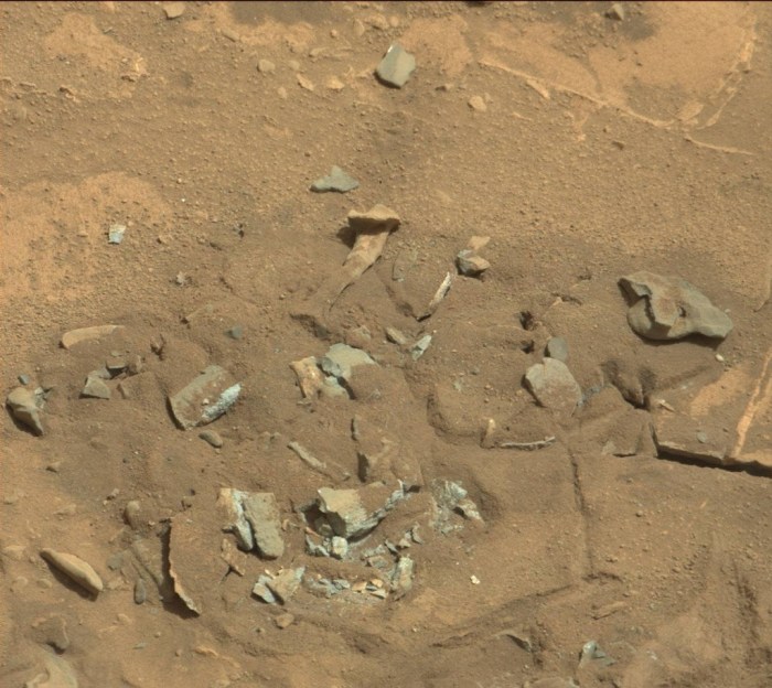 bone in mars