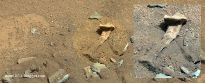 nasa-curiosity-photographed-fossilized-thigh-bone-on-mars