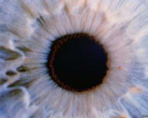 eye