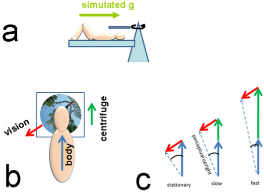 H πειραματική διάταξη της έρευνας :)