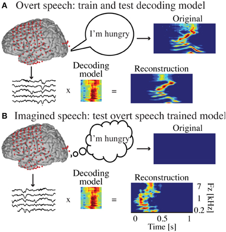 OvertCovertSpeechReconstruction