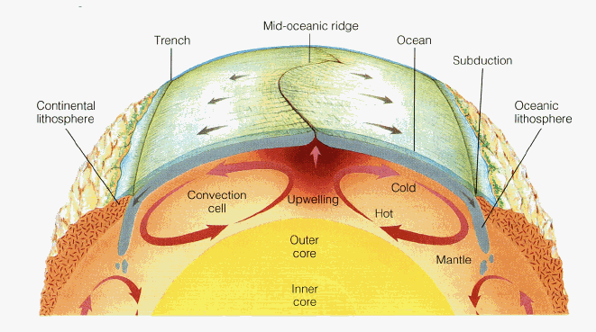 mantle_convection_cell