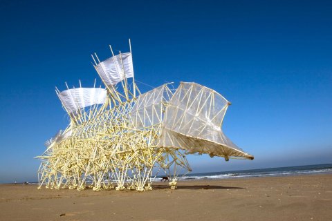 strandbeest