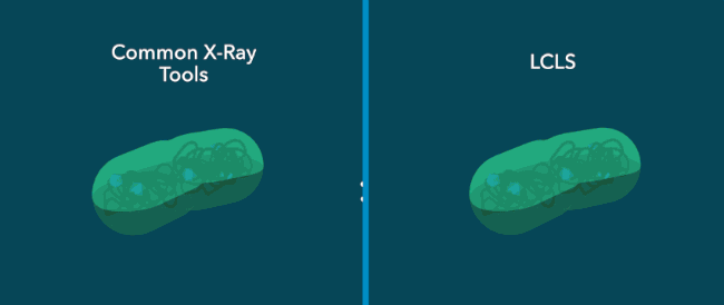 cyanobacteria_scattering_comparison