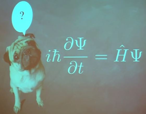 Ο σκύλος του Schrödinger; (Μια διαφάνεια από την παρακάτω ομιλία του David Gross)