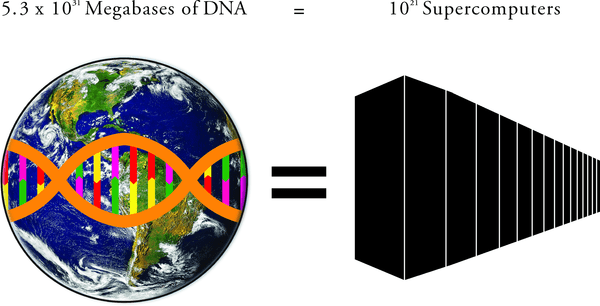 journal.pbio.1002168.g001