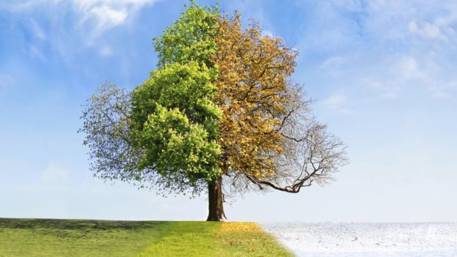 thinkstockphotos-176237933