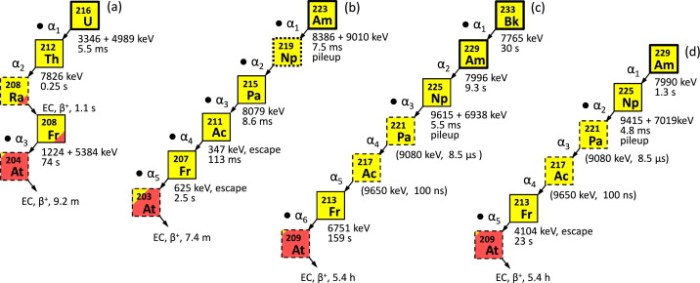 Οι αλυσίδες των προϊόντων διάσπασης από τα νέα ισότοπα που δημιουργήθηκαν
