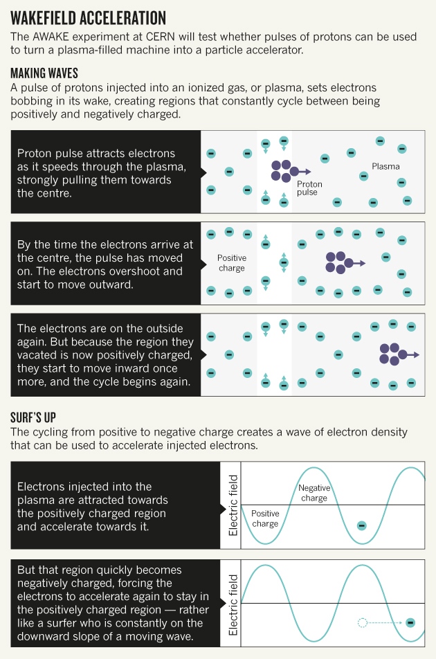 nature_awake_graphic_08.10.15-online