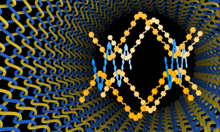 Το COF-505 είναι το πρώτο τρισδιάστατο οργανικό ομοιοπολικό πλέγμα που συνίσταται από ελικοειδείς οργανικές ίνες που συν-μπλέκονται μεταξύ τους με ισχυρούς ομοιοπολικούς δεσμούς.