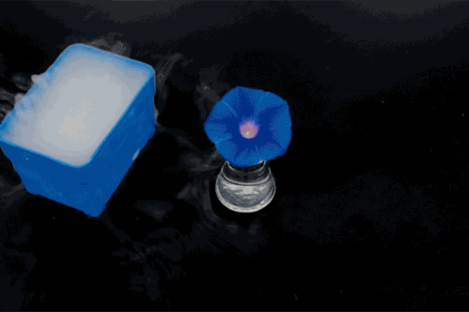 ph1