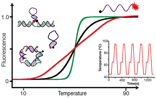 DNA_thermometer