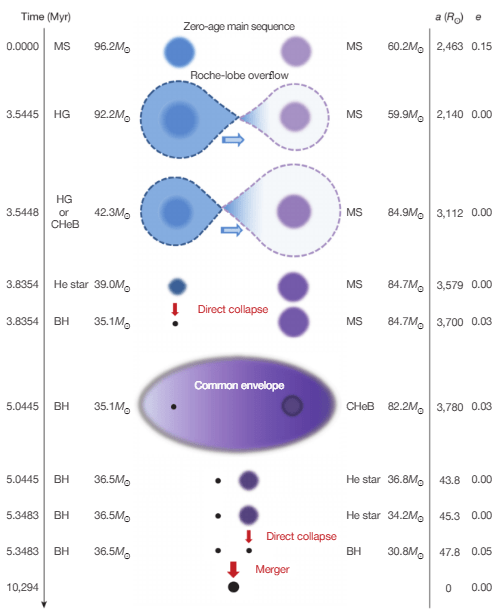Παράδειγμα εξέλιξης ενός διπλού αστρικού συστήματος παρόμοιο με το GW150914 Ένα δυαδικό σύστημα άστρων με πολύ μεγάλες μάζας - 96 M☉(M☉= 1 ηλιακή μάζα) και 60 M☉- μπλε και μωβ χρώμα αντίστοιχα στο σχήμα, σχηματίστηκε στο παρελθόν πριν από 11 δισεκατομμύρια χρόνια περίπου (2 δισεκατομμύρια χρόνια μετά την Μεγάλη Έκρηξη). Και μετά από 5 εκατομμύρια χρόνια περίπου σχηματίστηκε ένα σύστημα δυο μαύρων τρυπών, 37 M☉και 31 M☉ – η προτελευταία γραμμή στο σχήμα. Για τα 10,3 δισεκατομμύρια χρόνια που ακολούθησαν, το σύστημα των μαύρων τρυπών υπέστη απώλεια της στροφορμής του με την μεταξύ τους απόσταση να μειώνεται σταθερά μέχρι να συγχωνευθούν. (ΜS= άστρο κύριας ακολουθίας, ΗG=άστρο στο κενό του Ηertzsprung https://en.wikipedia.org/wiki/Hertzsprung_gap , BH=Mαύρη Τρύπα, CHeB= το στάδιο στην εξέλιξη άστρων μεγάλης μάζας, όταν αρχίζει η σύντηξη του ηλίου στον πυρήνα τους, α=o μεγάλος ημιάξονας της τροχιάς, e=εκκεντρότητα)