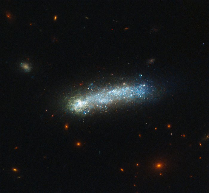 In this new image from the NASA/ESA Hubble Space Telescope, a firestorm of star birth is lighting up one end of the diminutive galaxy LEDA 36252 — also known as Kiso 5649.The galaxy is a member of a class of galaxies called “tadpoles” because of their bright heads and elongated tails. This galaxy resides relatively nearby, at a distance of 80 million light-years. Tadpoles are rare in the local Universe but common in the distant Universe, suggesting that many galaxies pass through a phase like this as they evolve.