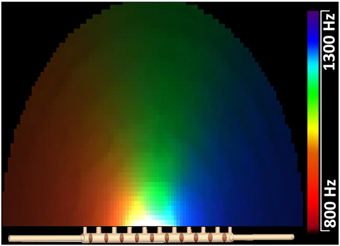 acoystic_prism_srep18911-f2