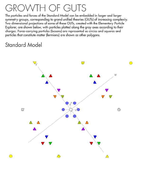 Πηγή: Elementary Particle Explorer, designed and written by Garrett Lisi, Troy Gardner, and Greg Little
