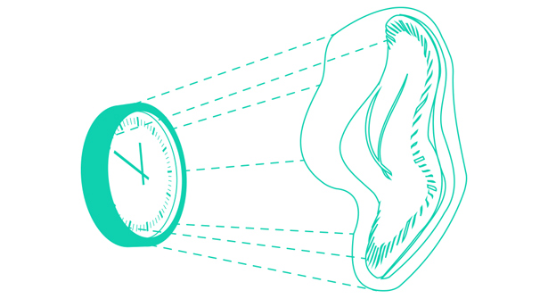 Olena Shmahalo/Quanta Magazine