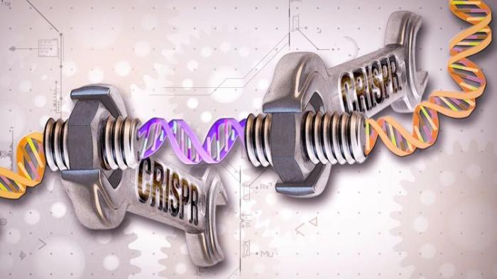 crispr