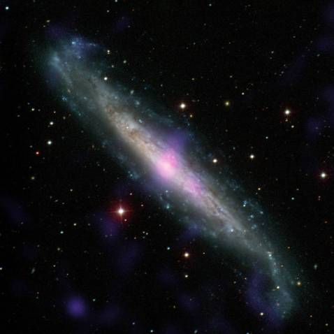 O γαλαξίας NGC 1448, διαθέτει έναν ενεργό γαλαξιακό πυρήνα κρυμμένο από αέρια και σκόνη (Credits: Carnegie-Irvine Galaxy Survey/NASA/JPL-Caltech)