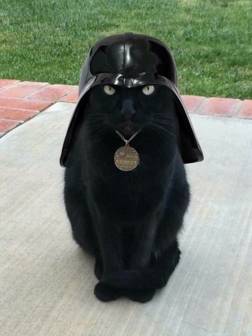 darth vader